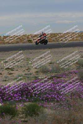 media/Jan-14-2023-SoCal Trackdays (Sat) [[497694156f]]/Turn 14 Exit Bloomig (145pm)/